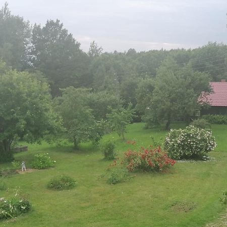 Country House Podini Lejlighed Mālpils Eksteriør billede