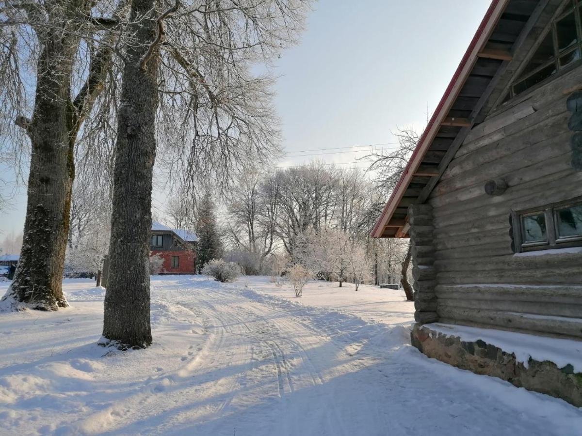 Country House Podini Lejlighed Mālpils Eksteriør billede